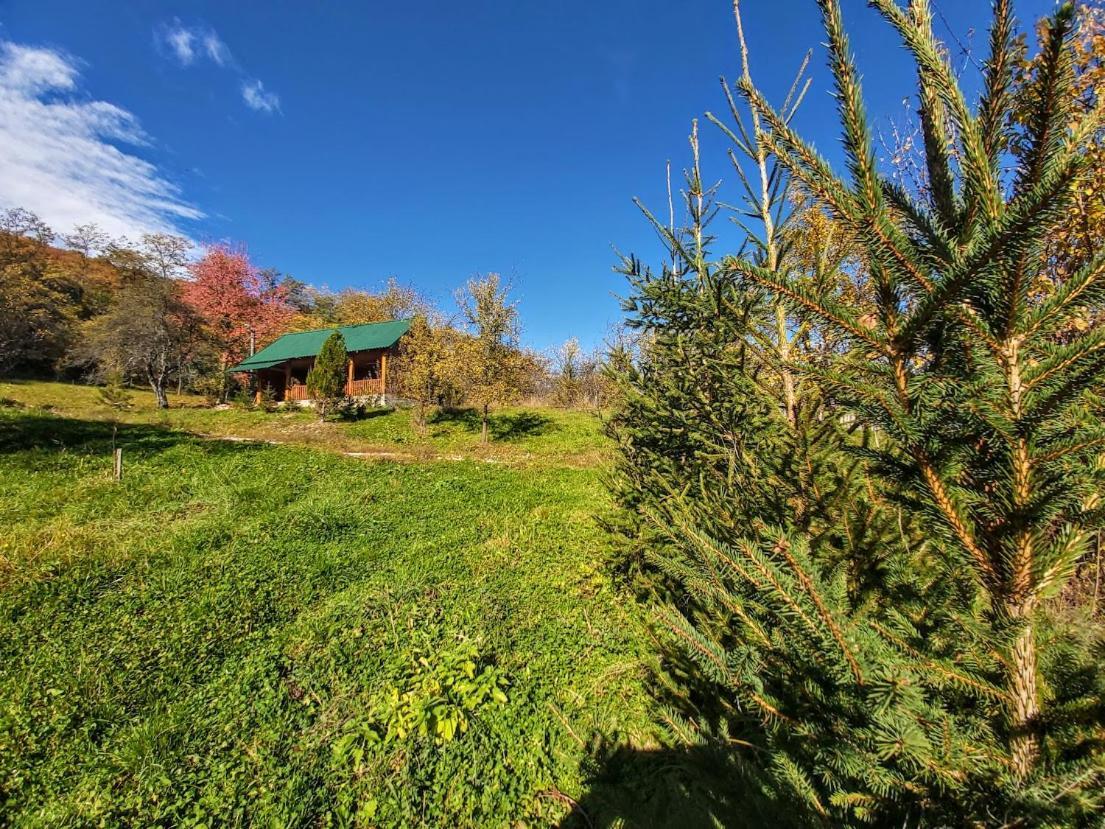 Pensiunea Agroturistica Piscul Soarelui Кымпулунг Экстерьер фото